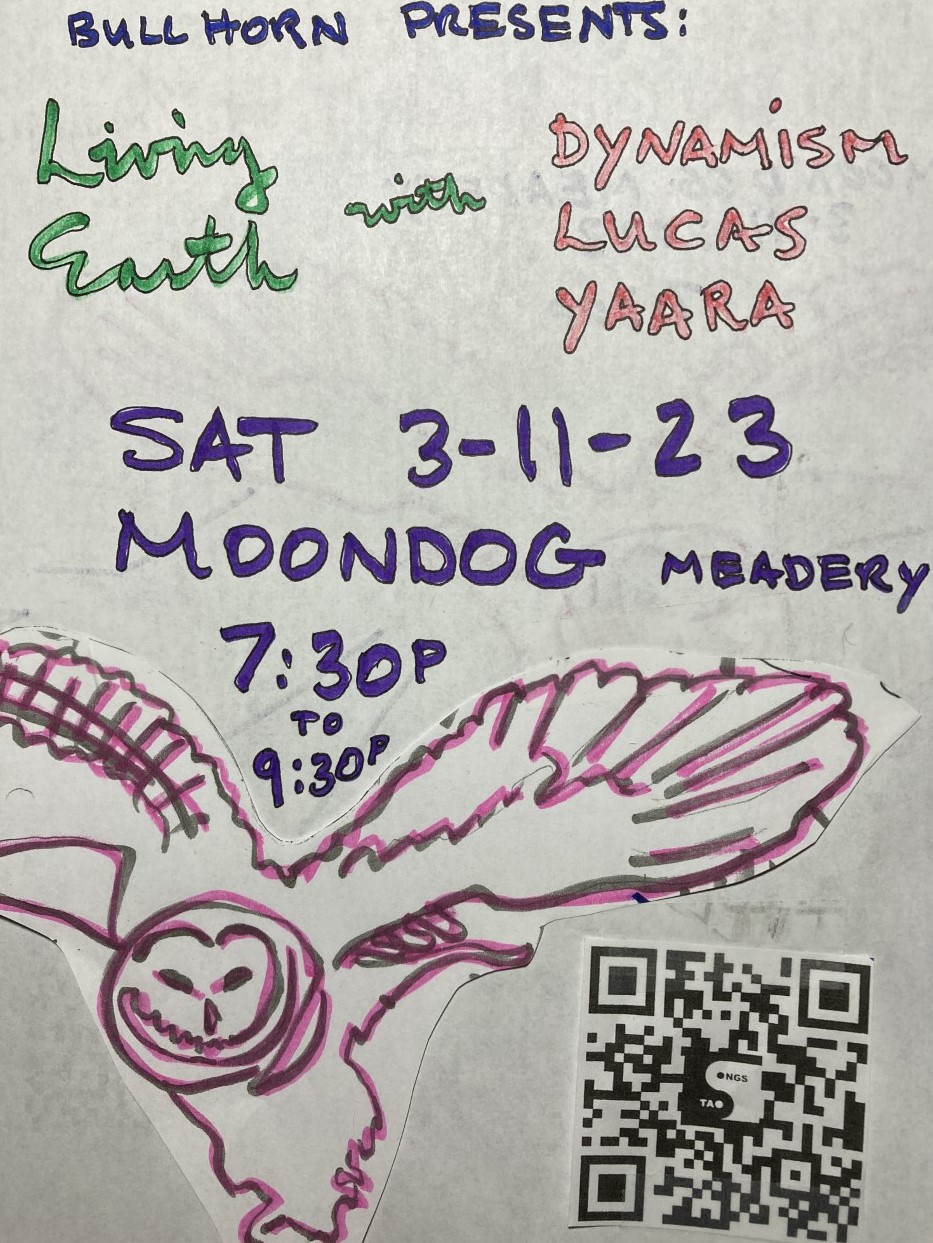 Next show: March 11 with Living Earth at Moondog Meadery